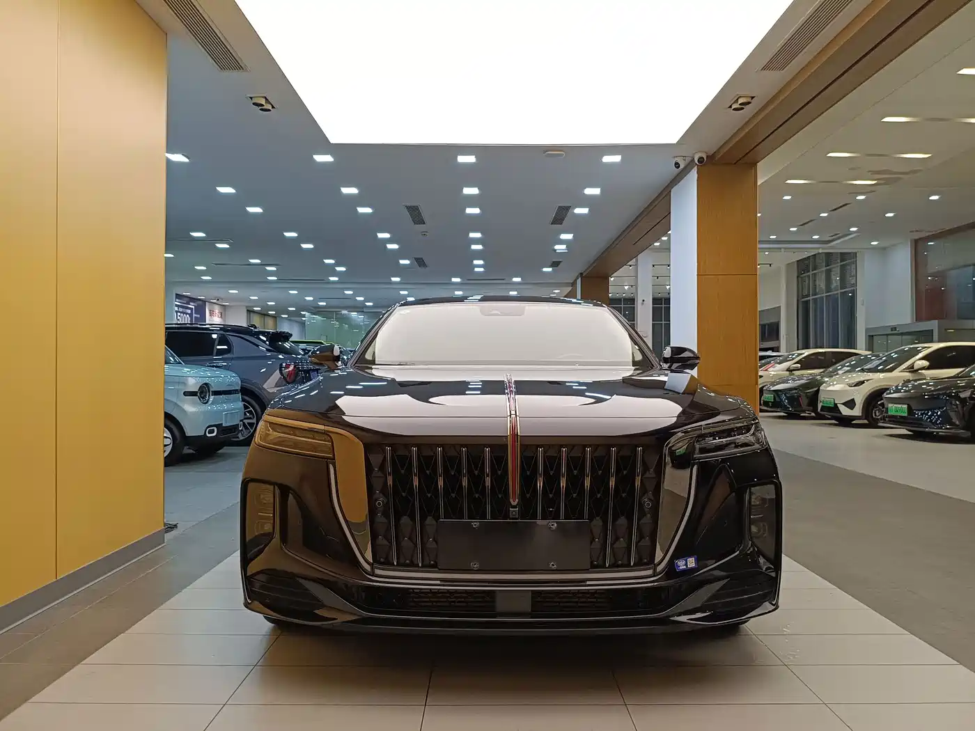Hongqi H9 2025 2025 2.0T 2WD Qi Chang Private Style Edition 5-seater