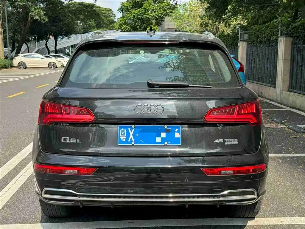 Audi Q5L 2018 45 TFSI Exclusive Fashion (China V) фото 5