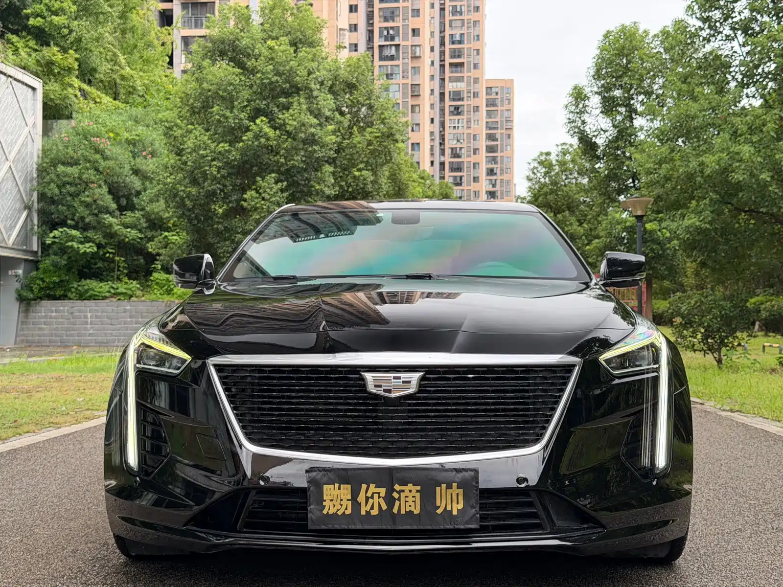 Фото 2 - Cadillac CT6