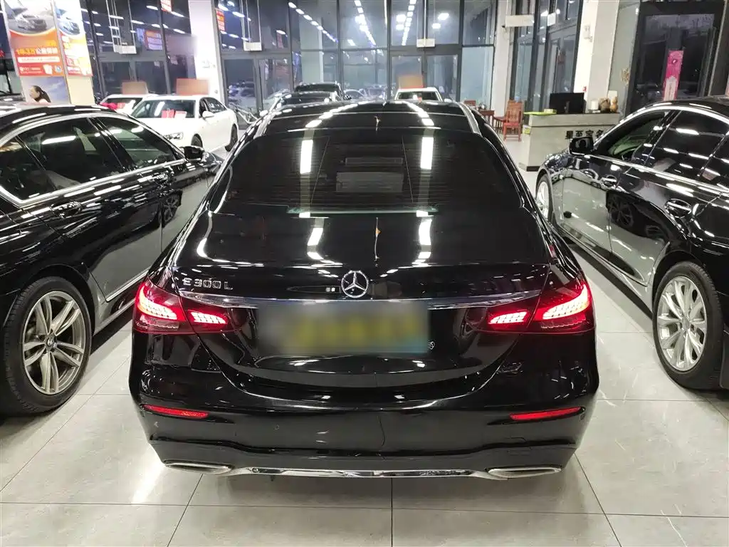 Mercedes-Benz E-Class 2021 E 300 L Sport Luxury Edition фото 6