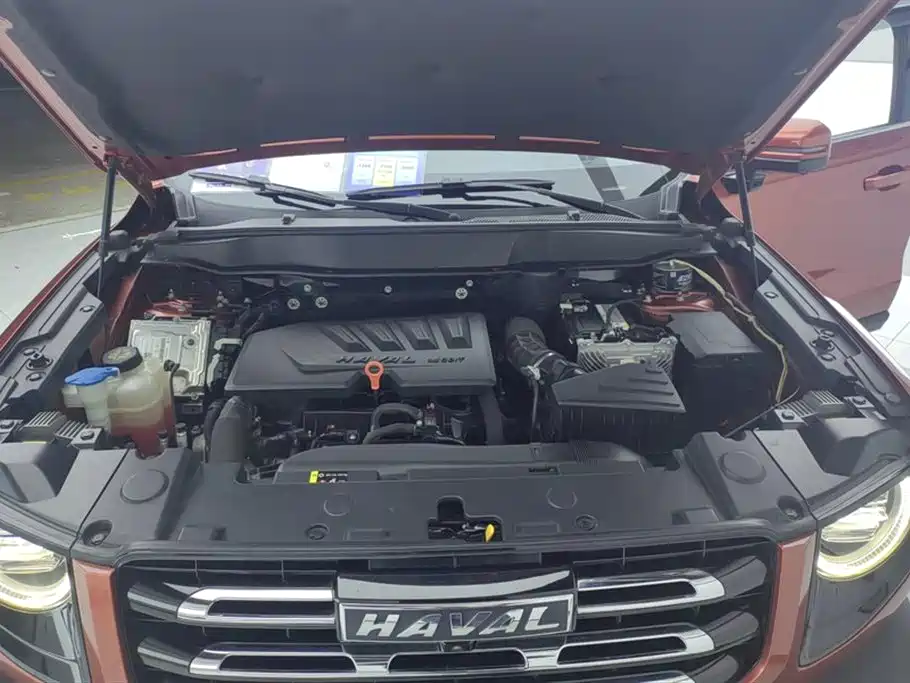 Haval Big Dog 2021 1.5T DCT 2WD Malinois Edition фото 10