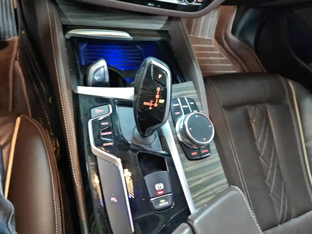 BMW 5 Series 2018 530Li xDrive Luxury Package фото 21