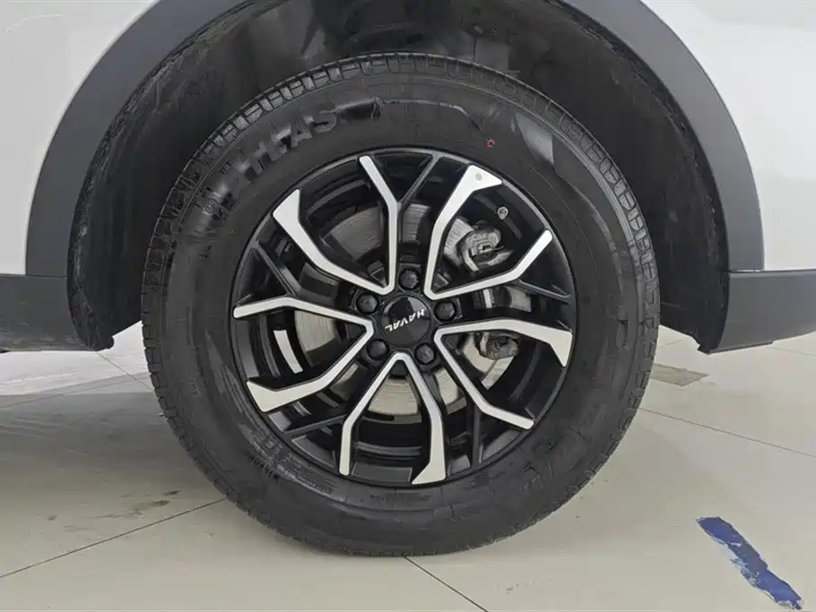 Haval H6 2023 National Trend Edition 1.5T Automatic Urban фото 6