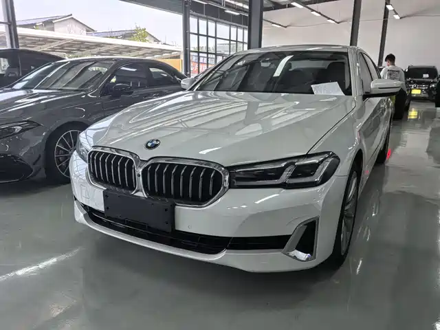 BMW 5 530Li, Престиж, Люкс-пакет