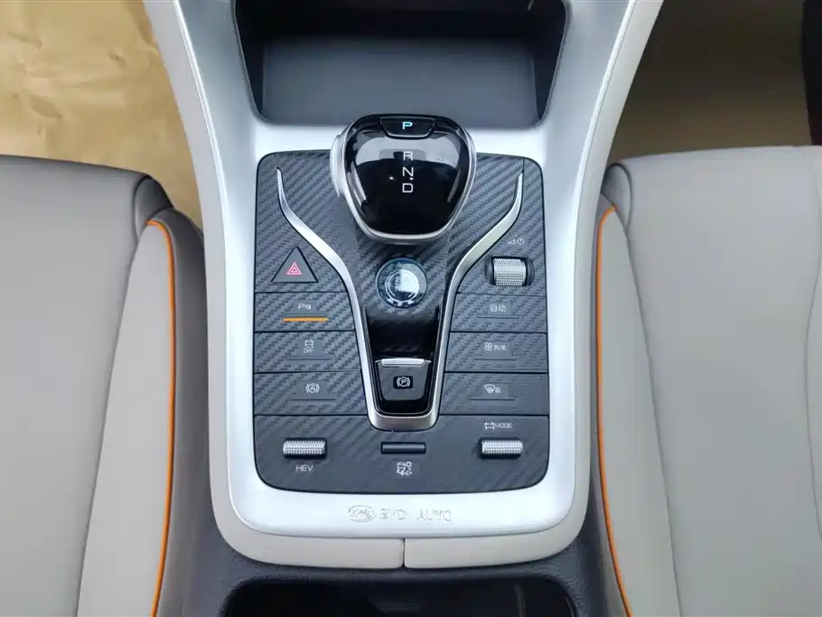 BYD Song Pro New Energy 2024 Glory Edition DM-i 71KM Pilot фото 16