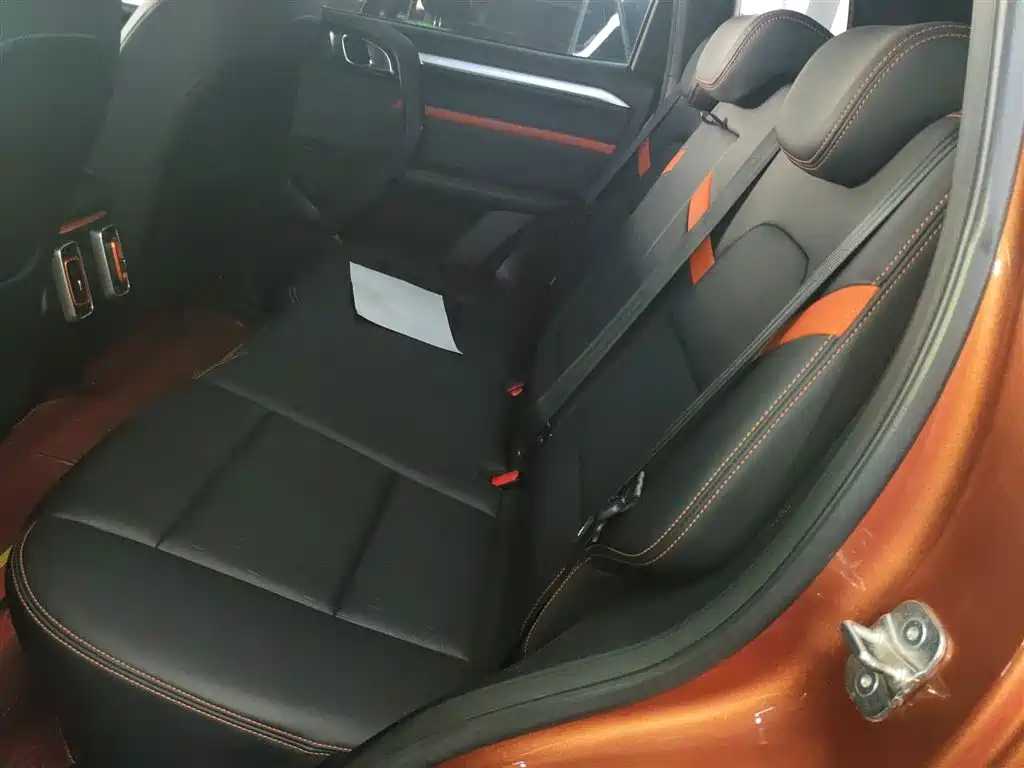 Haval Big Dog 2021 1.5T DCT 2WD Border Collie - Wangcai Edition фото 13