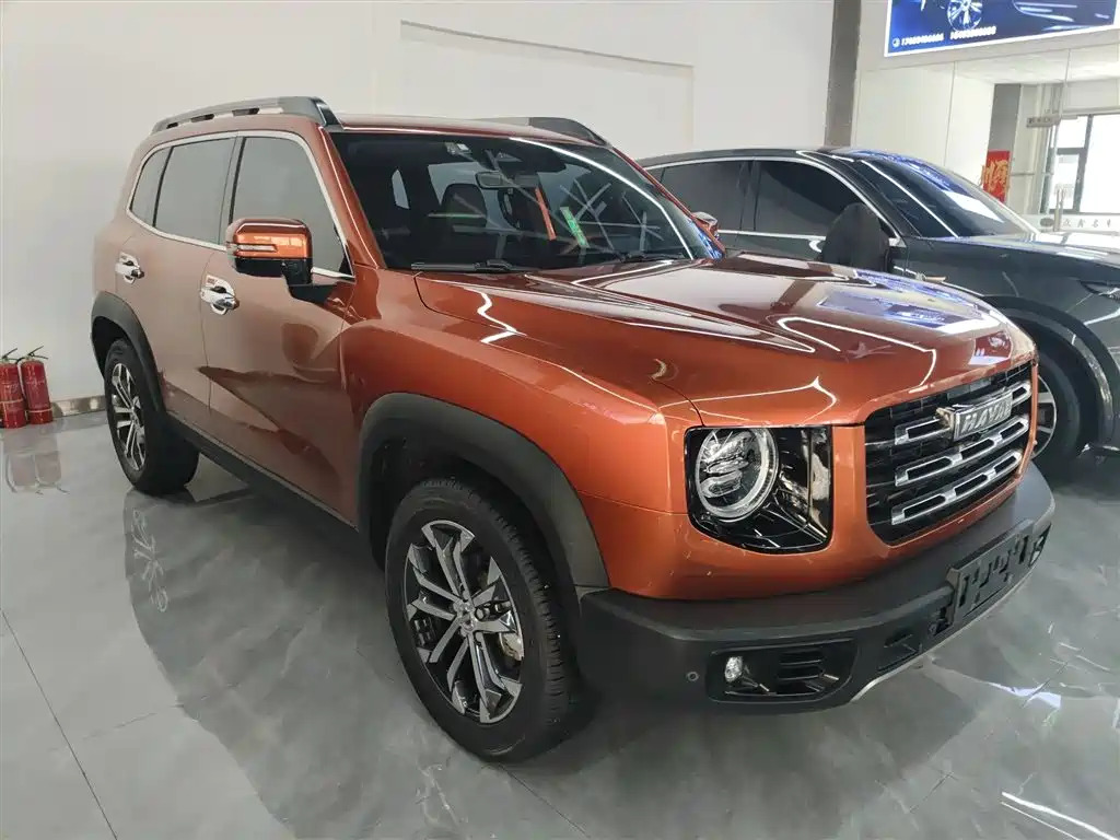 Haval Big Dog 2021 1.5T DCT 2WD Border Collie - Wangcai Edition фото 22