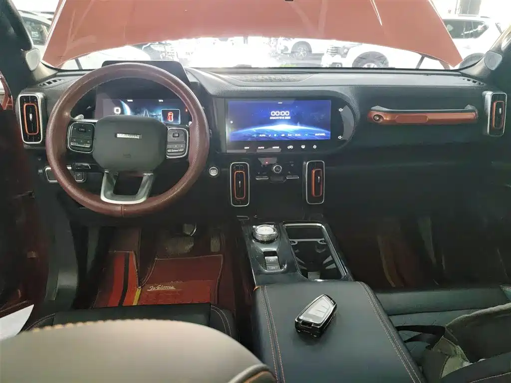 Haval Big Dog 2021 1.5T DCT 2WD Border Collie - Wangcai Edition фото 6