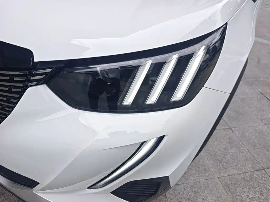 Фото 24 - Peugeot 2008