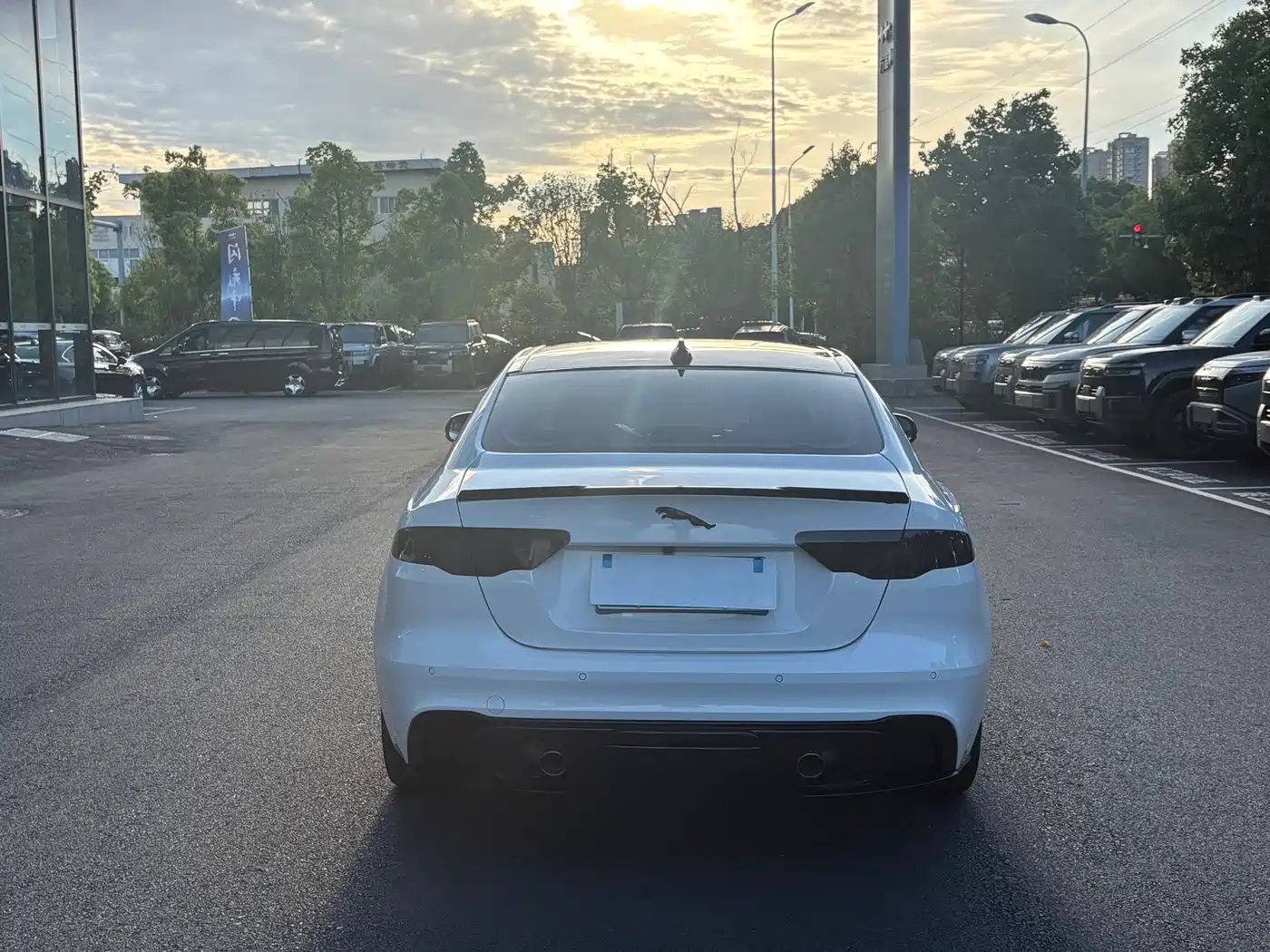 JAGUAR XEL