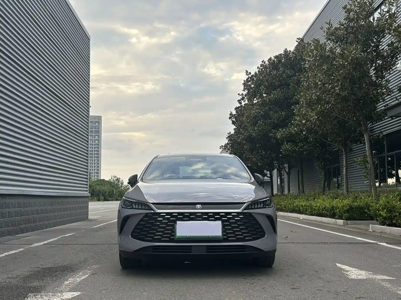 Фото 8 - BYD Qin PLUS