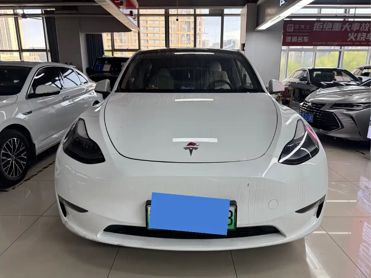 Tesla Model Y 2024 Performance фото 2
