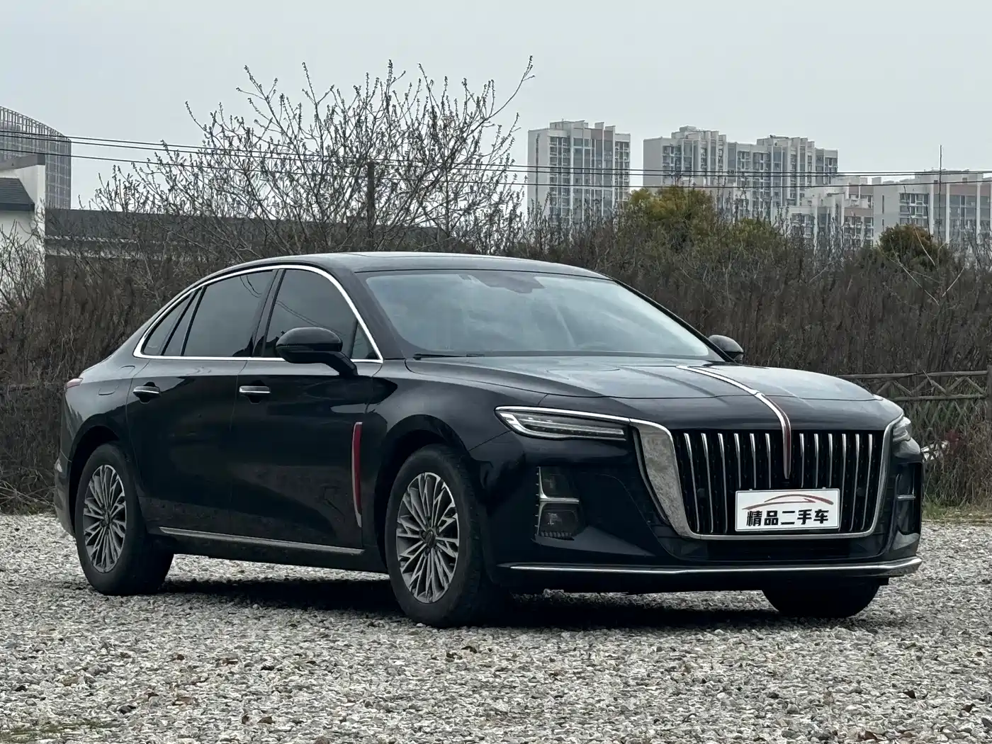 Hongqi H5 2023 1.5T DCT Smart Connect Joy Edition фото 3