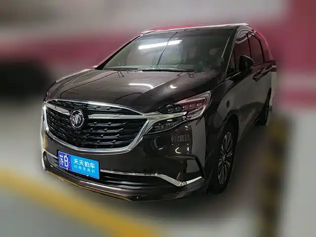 Buick GL8 2021 ES Landlord 653T Luxury — фото 1