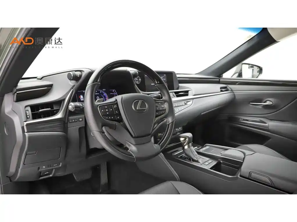 Lexus ES 2020 200 Luxury фото 6