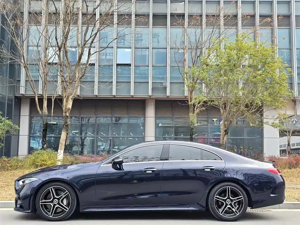 Mercedes-Benz CLS 2021 CLS 300 Luxury фото 2