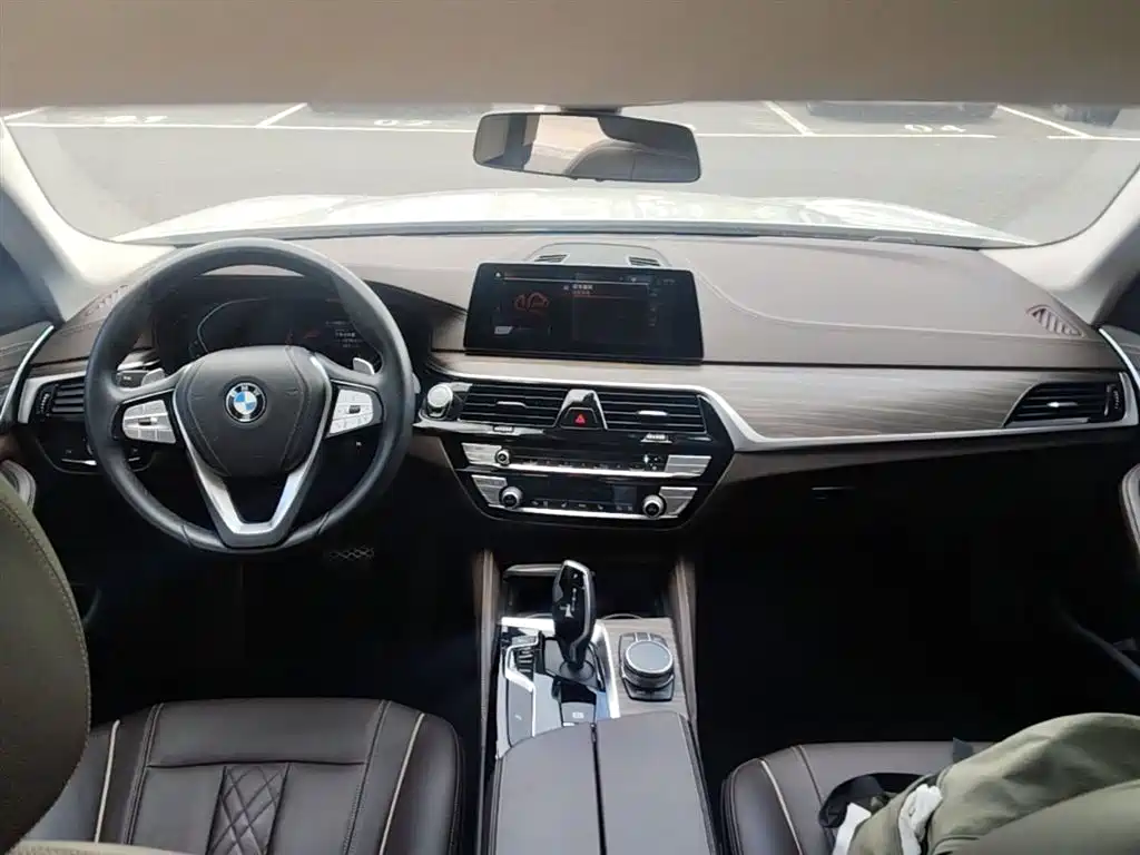 BMW 5 Series 2020 530Li xDrive Luxury Package фото 16
