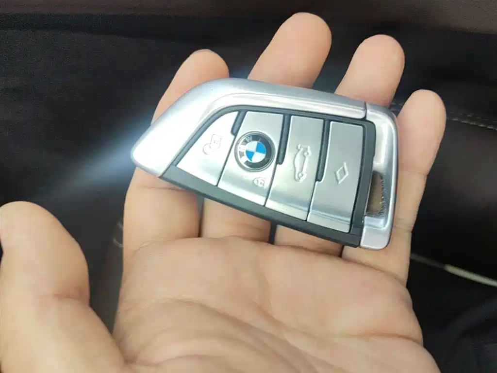 BMW 5 Series 2020 530Li xDrive Luxury Package фото 15