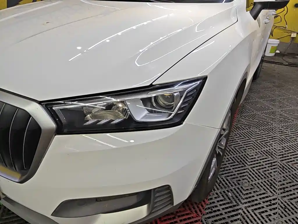 Borgward BX5 2019 2020 20TGDI Automatic 2WD Pioneer Edition
