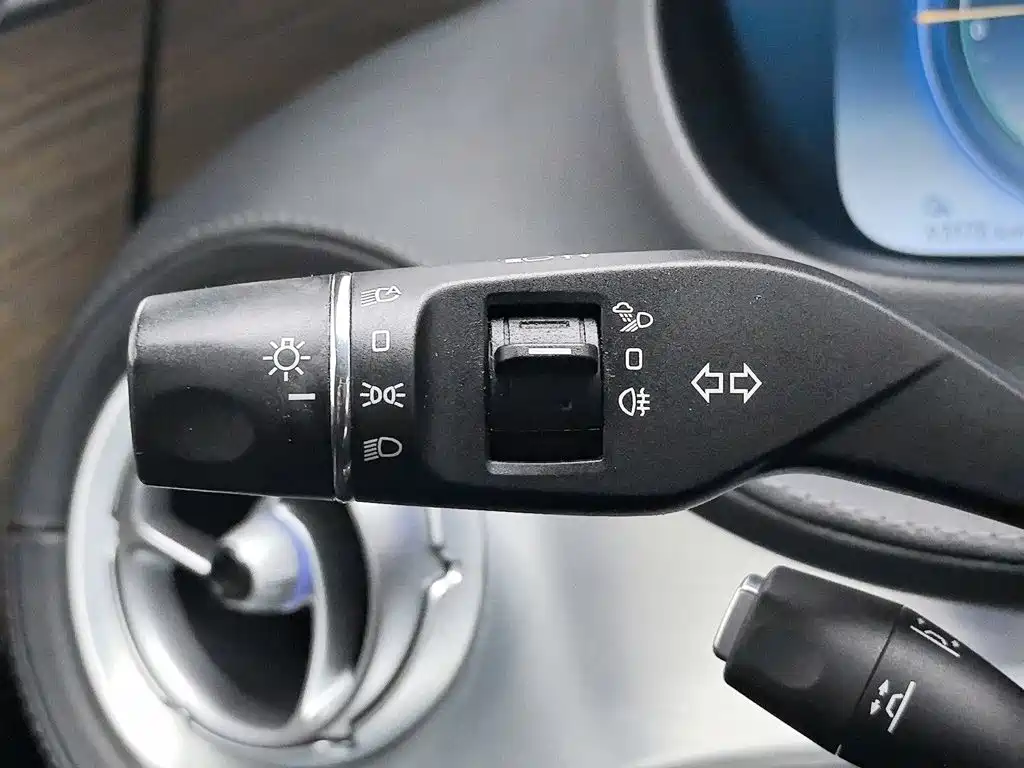 Denza X 2021 2020 Model PHEV Flagship Edition