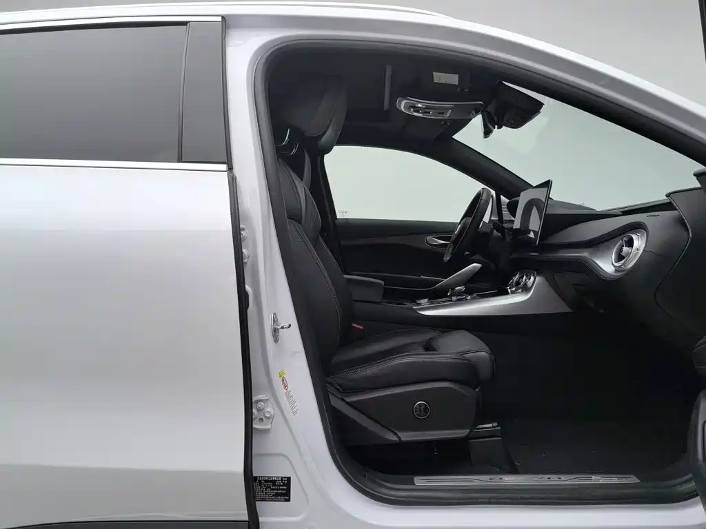 Denza X 2021 2020 Model PHEV Flagship Edition