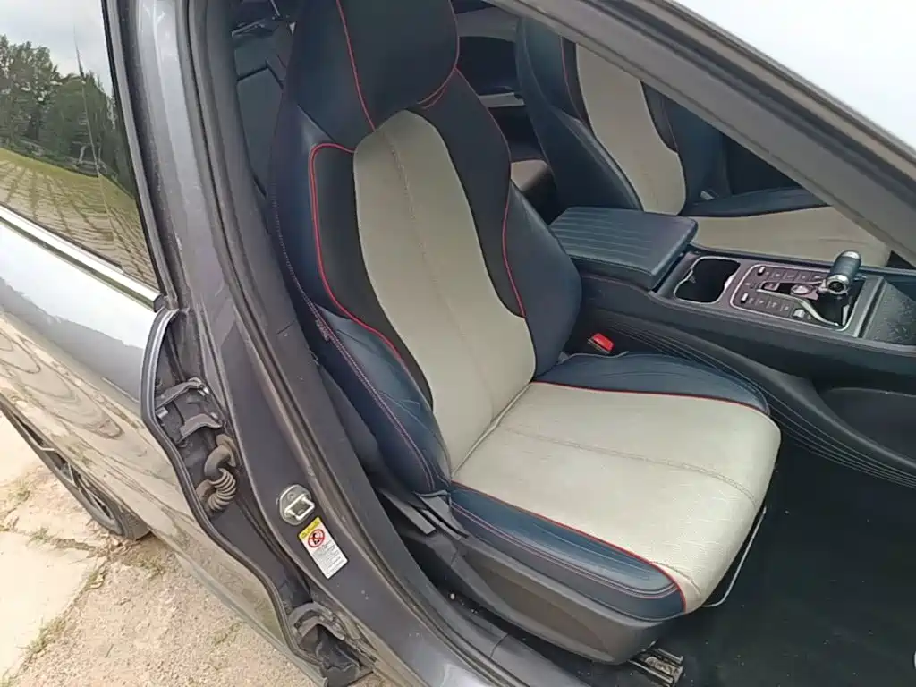 BYD Yuan PLUS 2022 2022 510KM Flagship