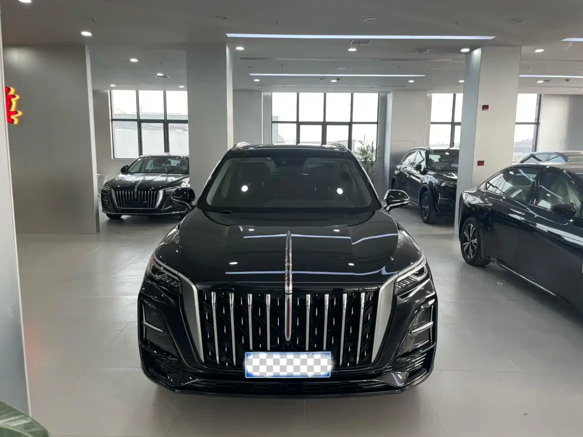 Hongqi HS5 2023 2.0T Flag Enjoy Pro Edition фото 2
