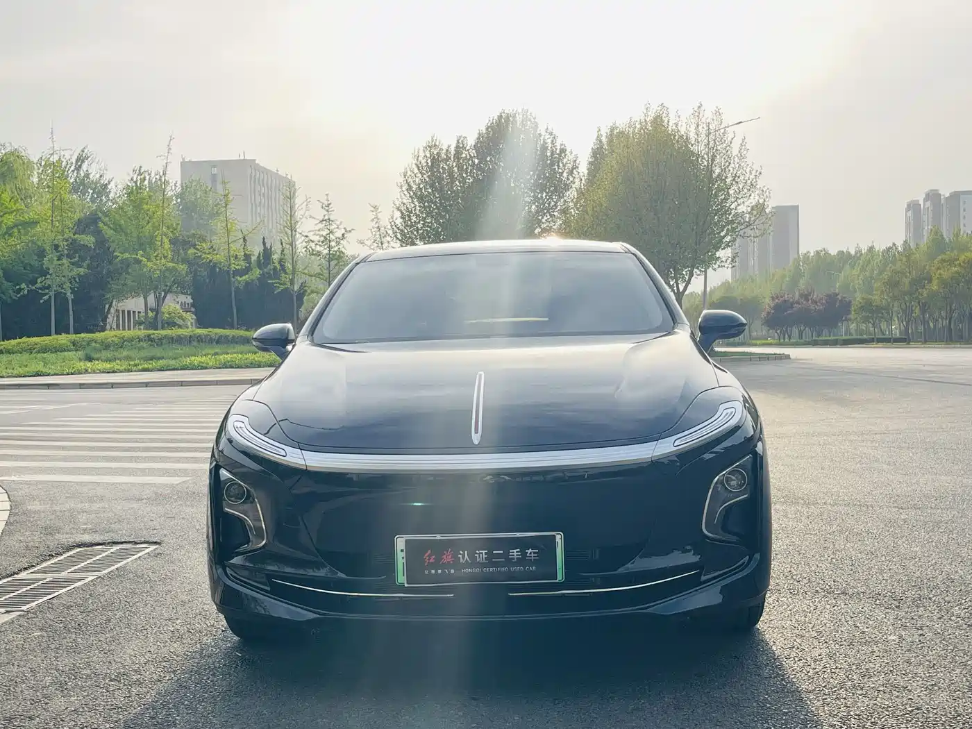 Hongqi HONGQI E QM5