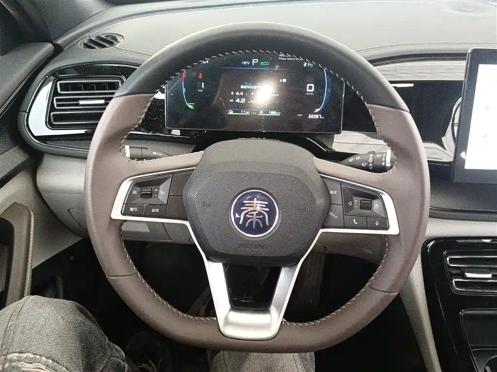 BYD Qin PLUS 2024 Glory Edition DM-i 55KM Leading фото 11