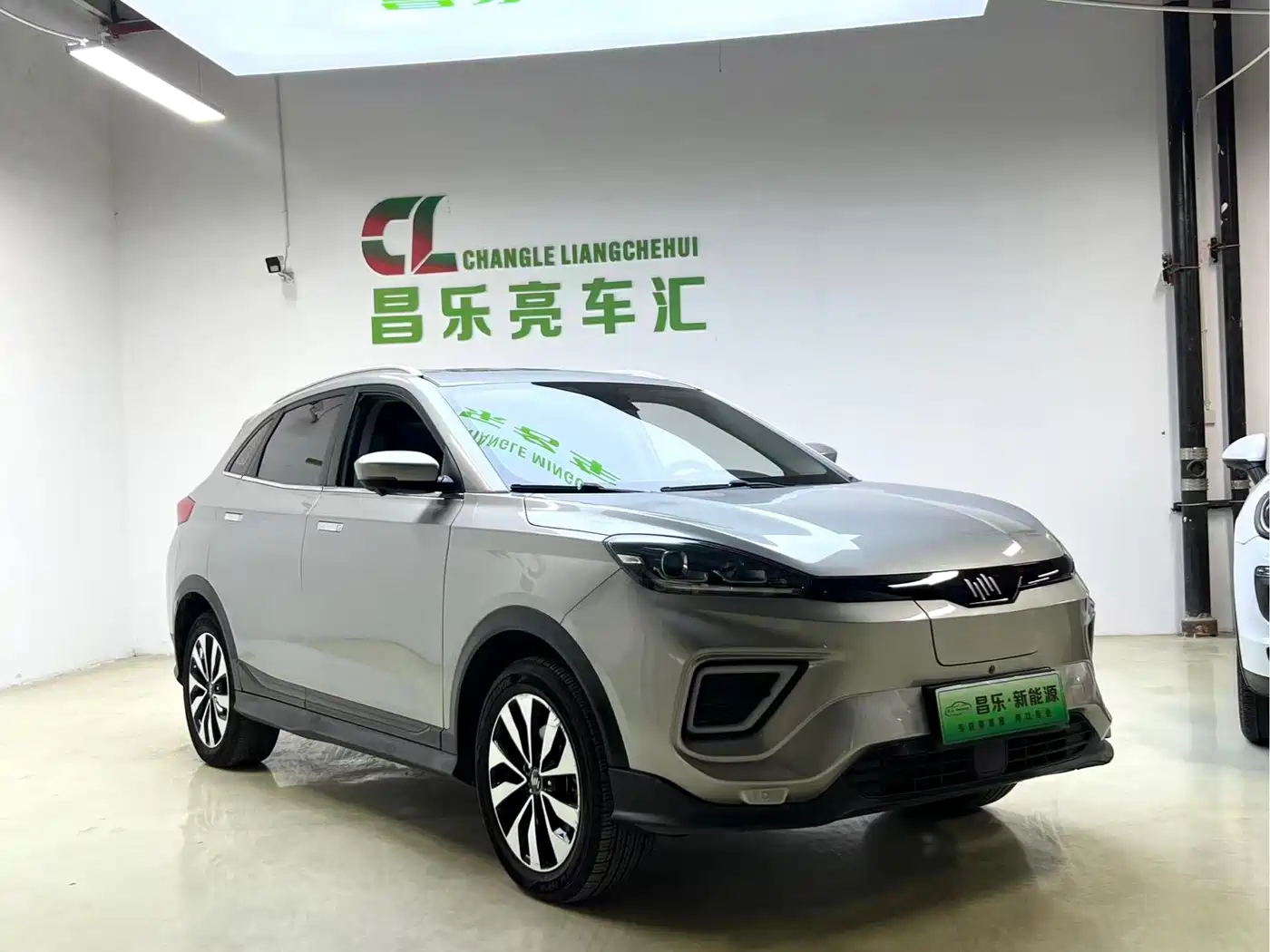 WEIMA AUTOMOBILE WEIMA EX5