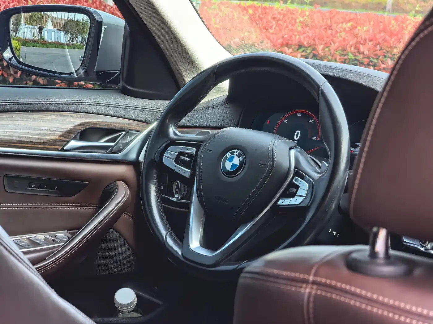 BMW 5 Series 2019 530Li Leading Luxury Package фото 13