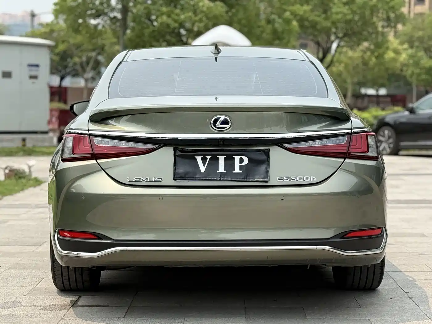 Lexus ES 2021 300h Luxury Edition фото 6
