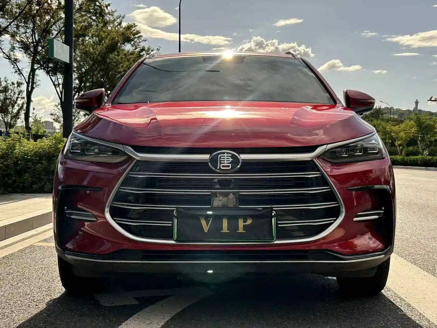 Photo 2 - BYD Tang New Energy