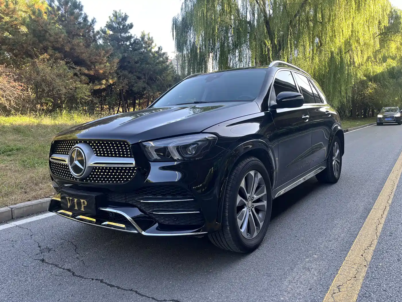 MERCEDES-BENZ GLE
