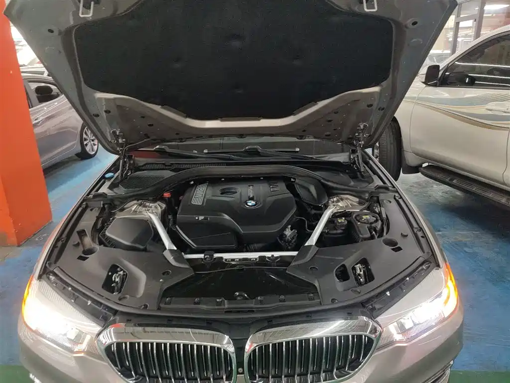 BMW 5 Series 2020 525Li Luxury Package фото 11
