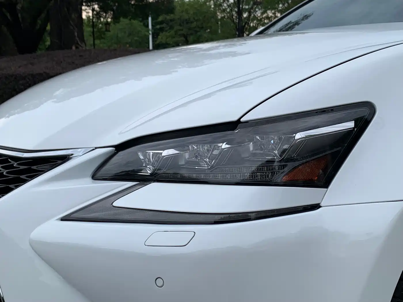 Lexus GS 2019 2017 300 F SPORT