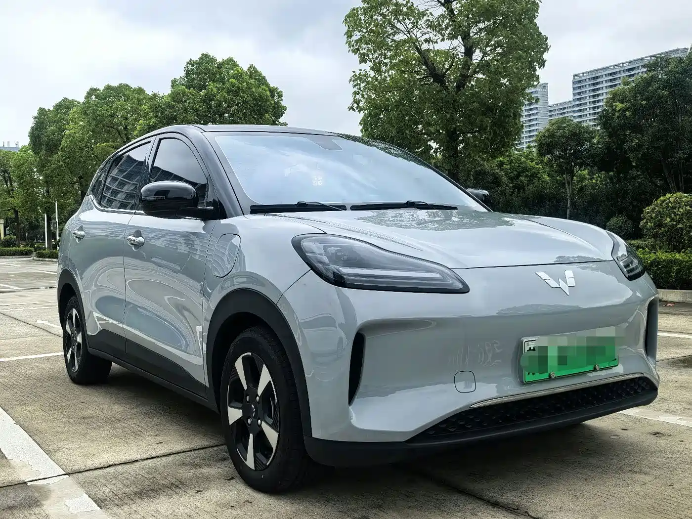 Wuling Motors Wuling Binguo PLUS 2024 2024 Model 330km 5-Seater