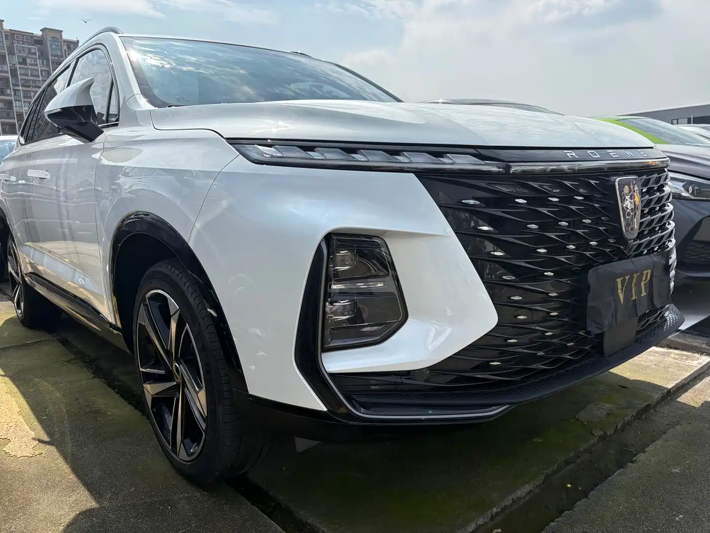 Roewe RX5 MAX 2023 2022 1.5T Auto Promising Premium Edition