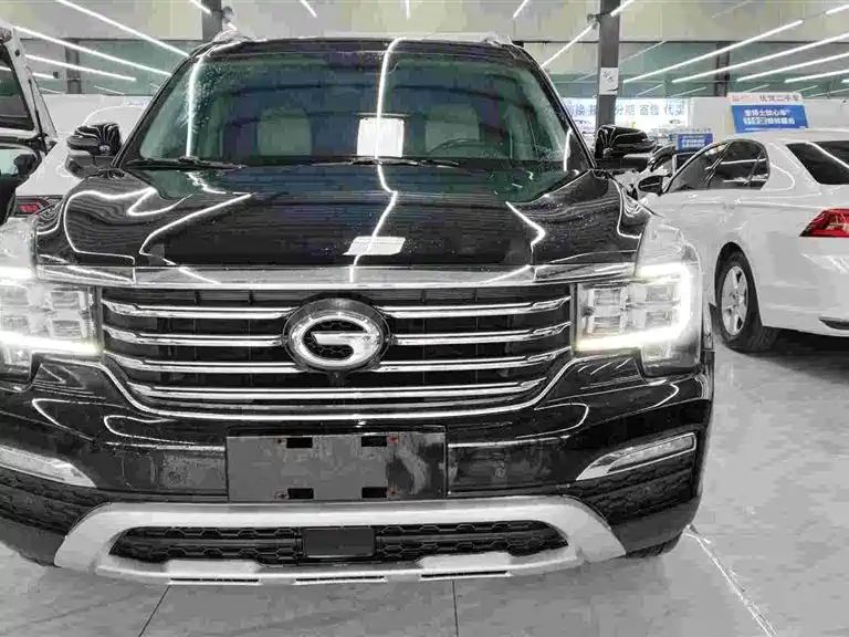 GAC Trumpchi Trumpchi GS8 2017 320T 2WD Luxury Smart Connect (7-seater) фото 2