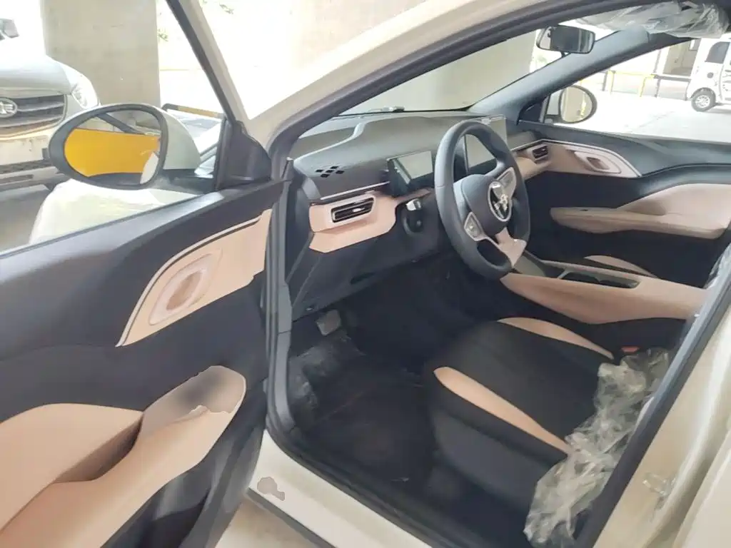 BYD Seagull 2026 2025 Smart Drive Edition 305km Vitality Version