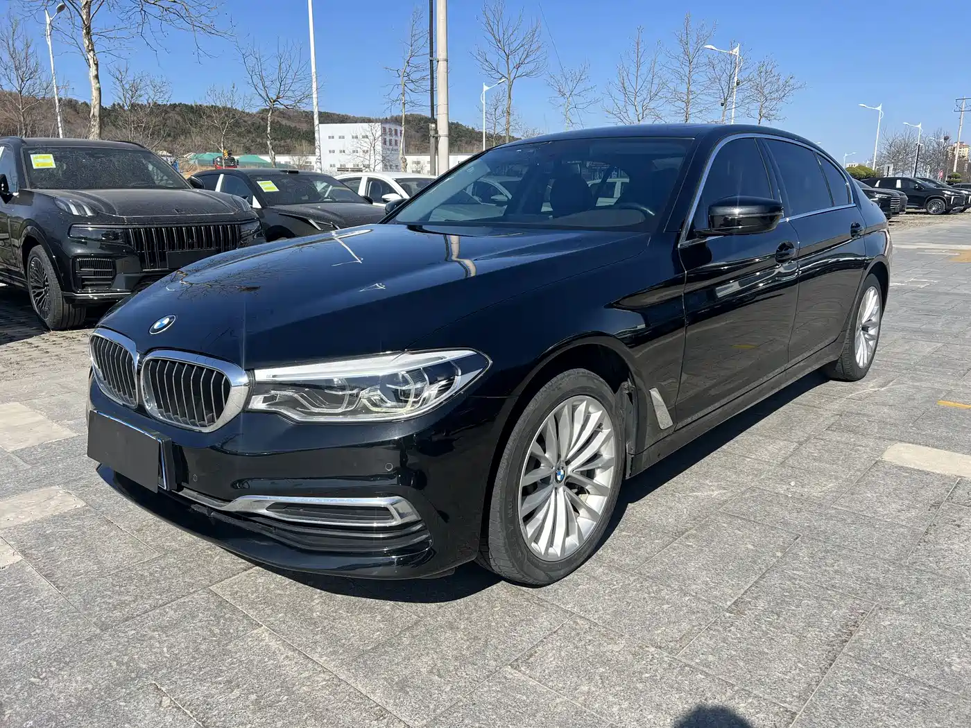 BMW 5 Series 2020 530Li xDrive Luxury Package
