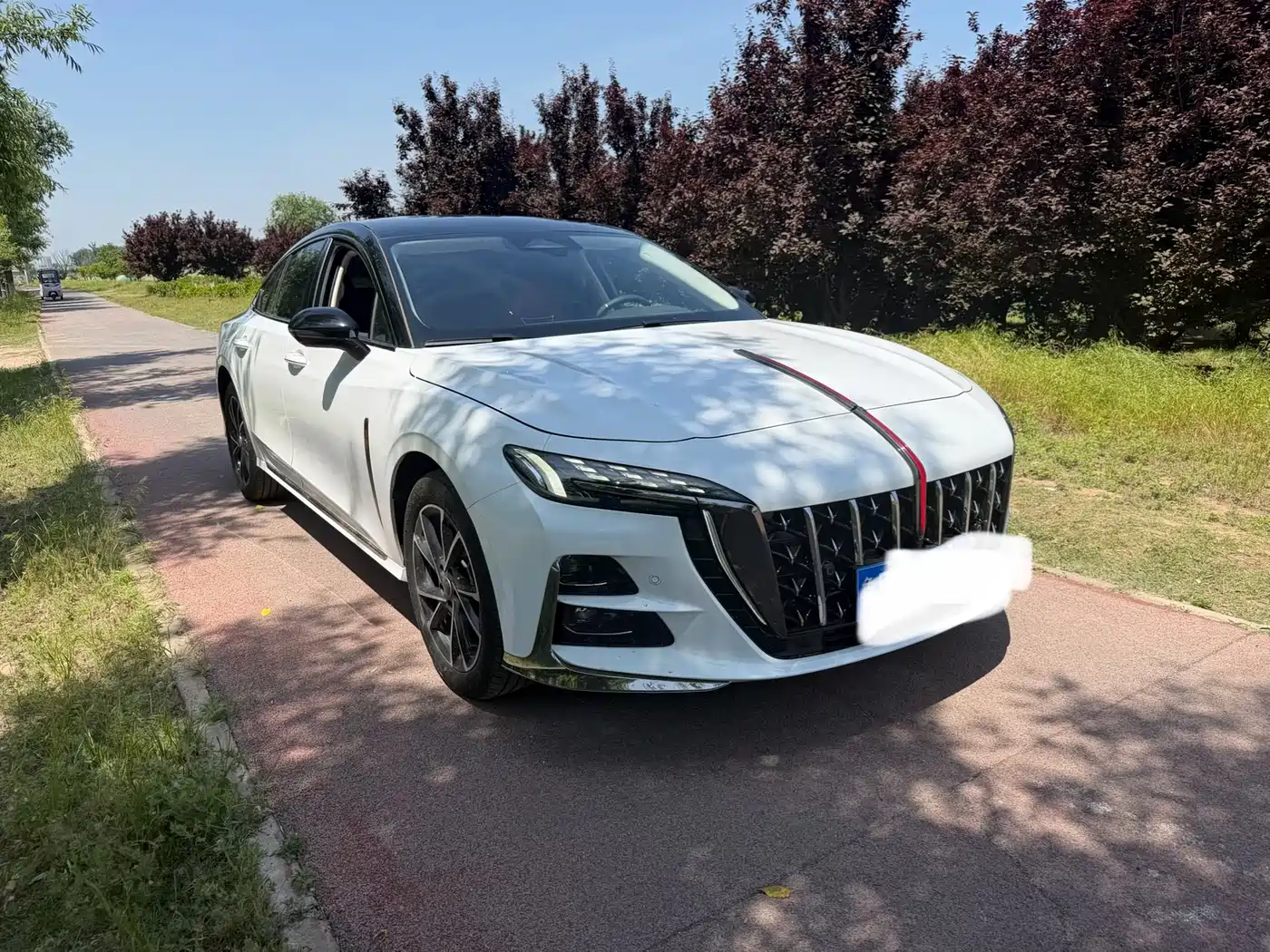 Hongqi H6 2024 Model 2.0T Fashion Edition фото 3