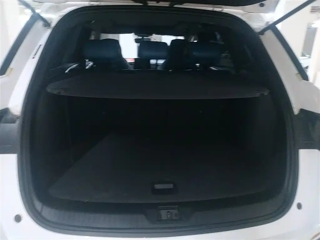 BYD Song Pro 2021 1.5T Automatic Xiaoyun Elite фото 19
