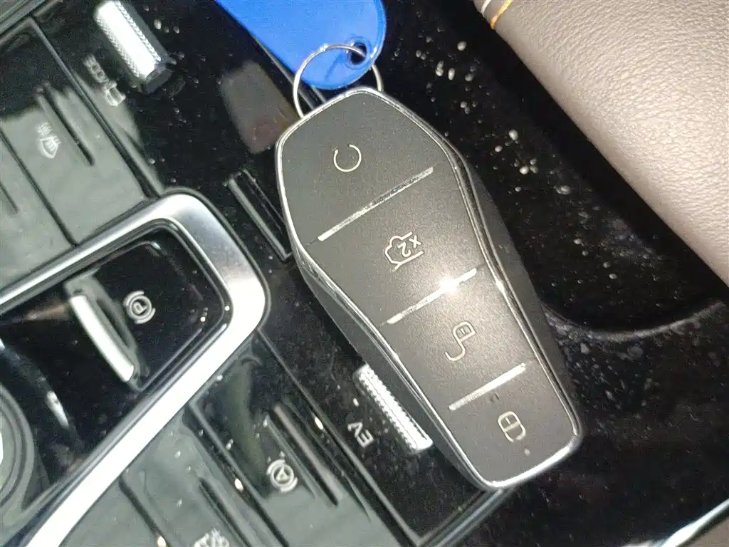 BYD Qin PLUS 2024 Glory Edition DM-i 55KM Leading фото 9