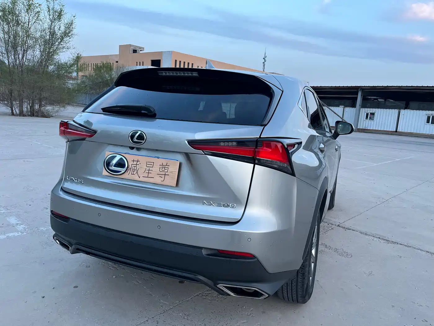 Lexus NX 2018 Model 300 FWD Fengxing Edition фото 16