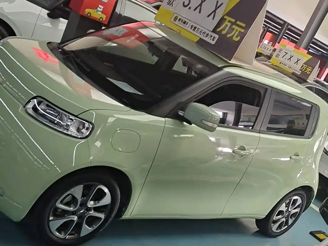 Ora White Cat 2021 2022 Upgraded 305km Luxury Edition LFP