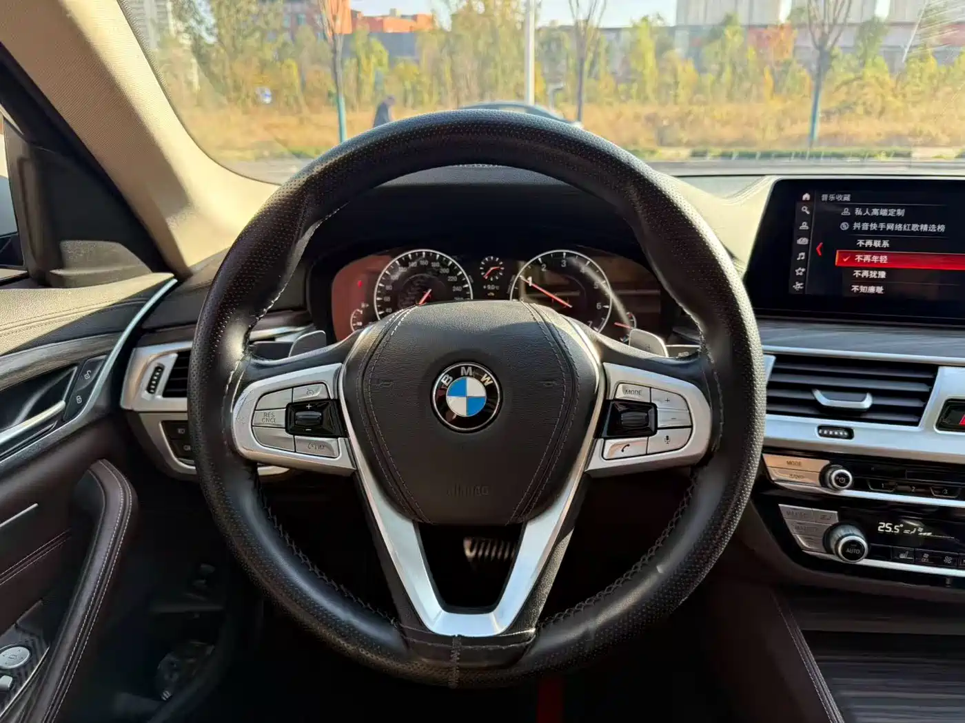 BMW 5 Series 2019 530Li Leading Luxury Package фото 12