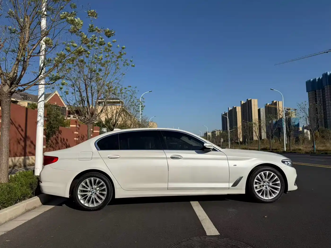 BMW 5 Series 2019 530Li Leading Luxury Package фото 15
