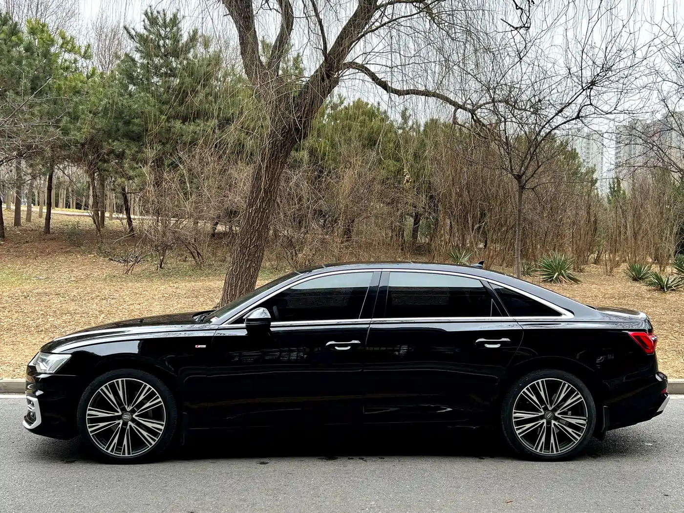 Audi A6L 2019 45 TFSI Premium Dynamic фото 3