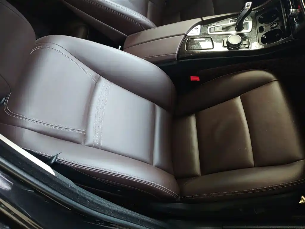 BMW 5 Series 2017 525Li Luxury Design Package фото 16